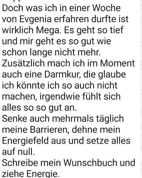 Screenshot einer Kundenstimme zum No Limits Intensivkurs (4)
