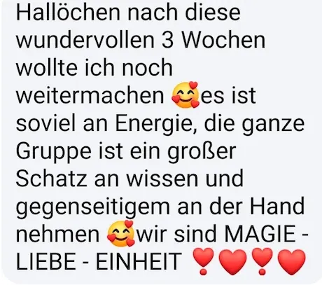 Screenshot einer Kundenstimme zum No Limits Intensivkurs (8)